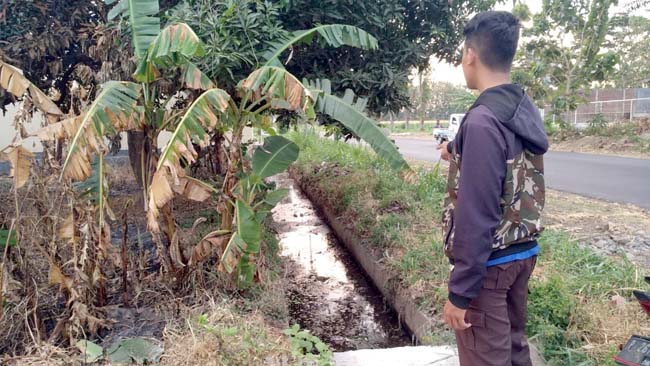 LIMBAH RPH: Warga saat menunjuk asal bau busuk aliran limbah RPH di Desa Sumberkolak Panarukan. (im)